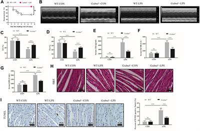 GSDMD Mediates LPS-Induced Septic Myocardial Dysfunction by Regulating ROS-dependent NLRP3 Inflammasome Activation